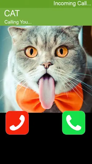 Call Cat 2